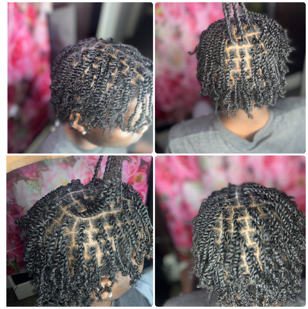 Two Strand Twist Natural Hair