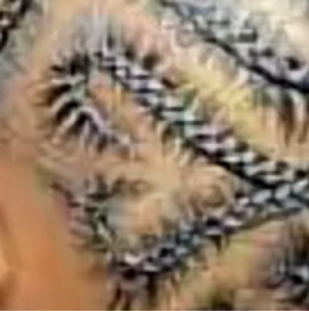 Braid Designs (EXTRAS) at NaeeStyledddIt in Stone Mountain, GA