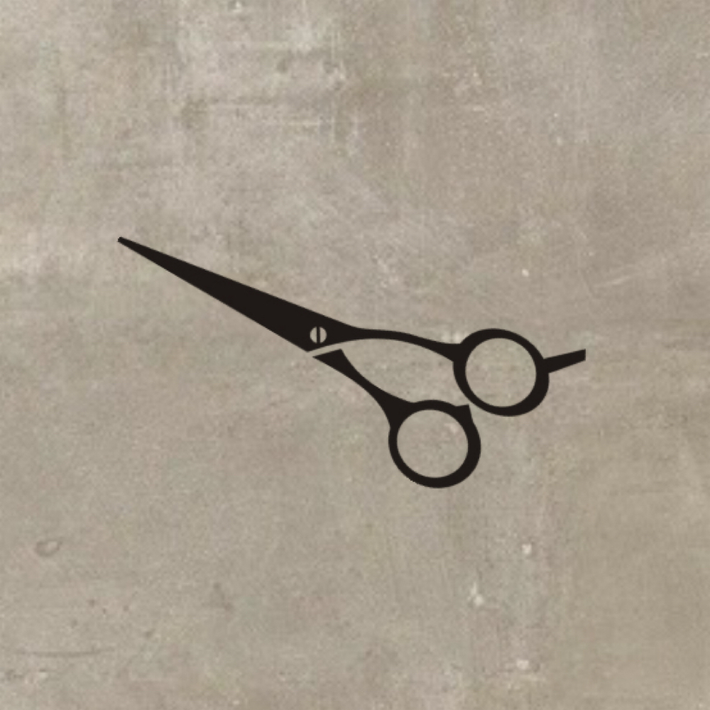 Haircut at Elan Beauty Salon in Bethel Park, PA