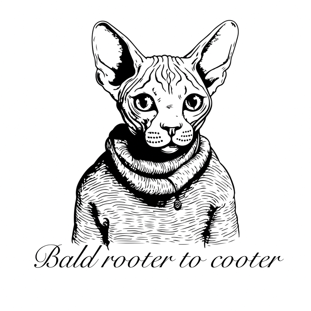 New Client Brazilian Wax (V) at Wax Baby in Williamsburg, VA