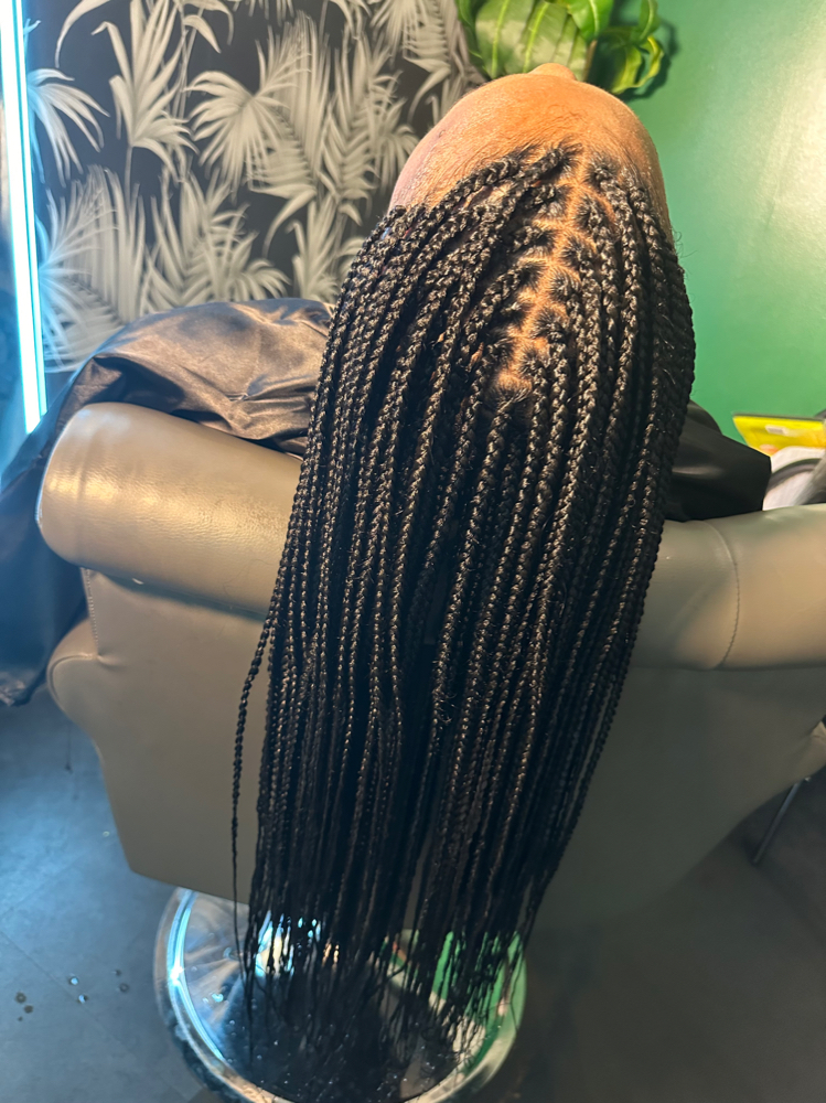 Small Box Braids