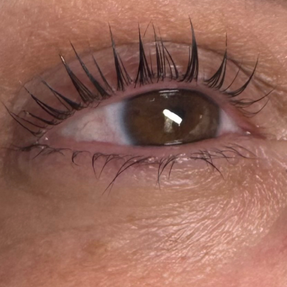 Korean Lash Lift Without Tint at Dream Skin by Fatima in North Las Vegas, NV