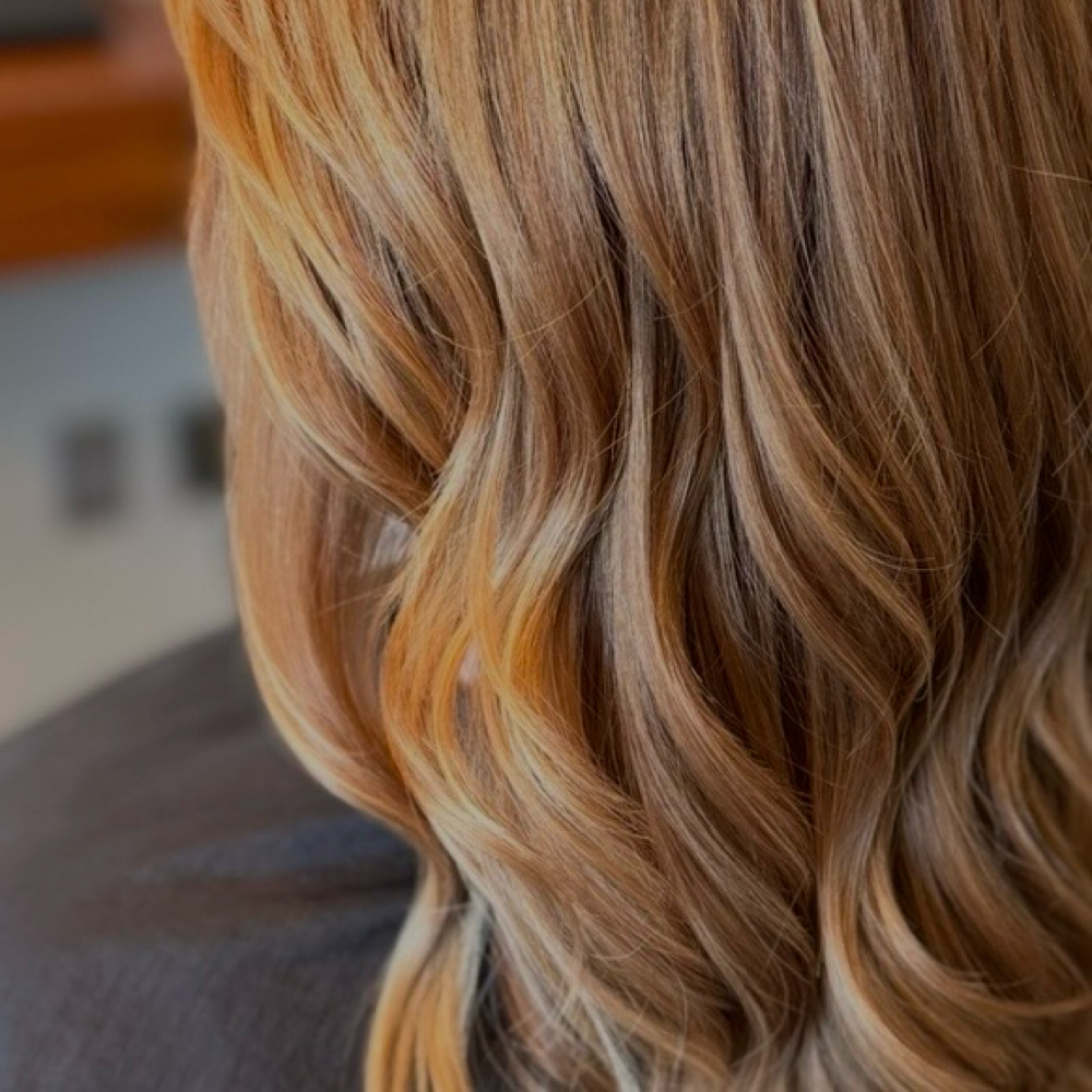 Shampoo + Blowdry at Salon Dahlia in Brandon, FL