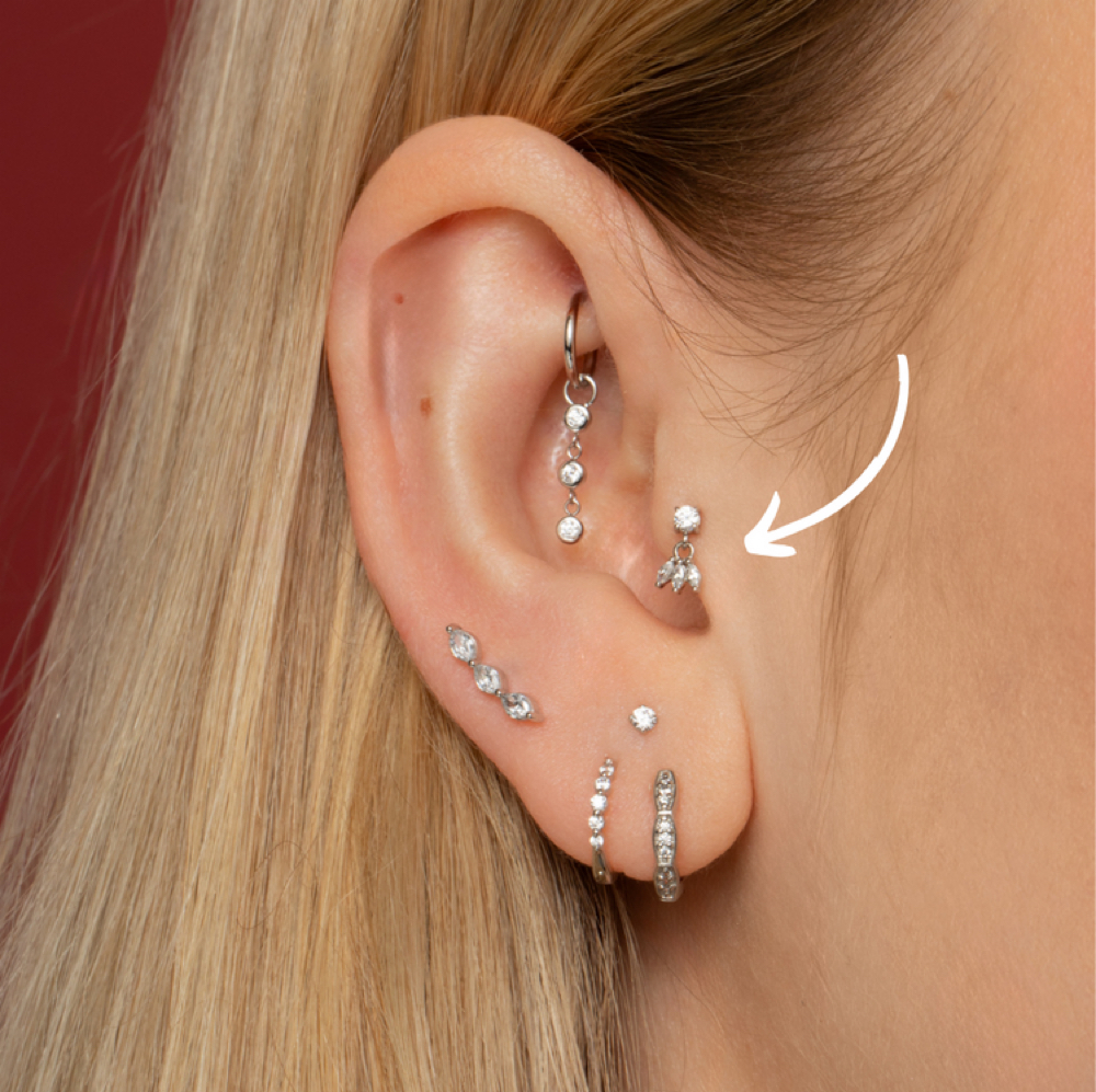 Tragus at Essence of Nirvana in Beverly, MA