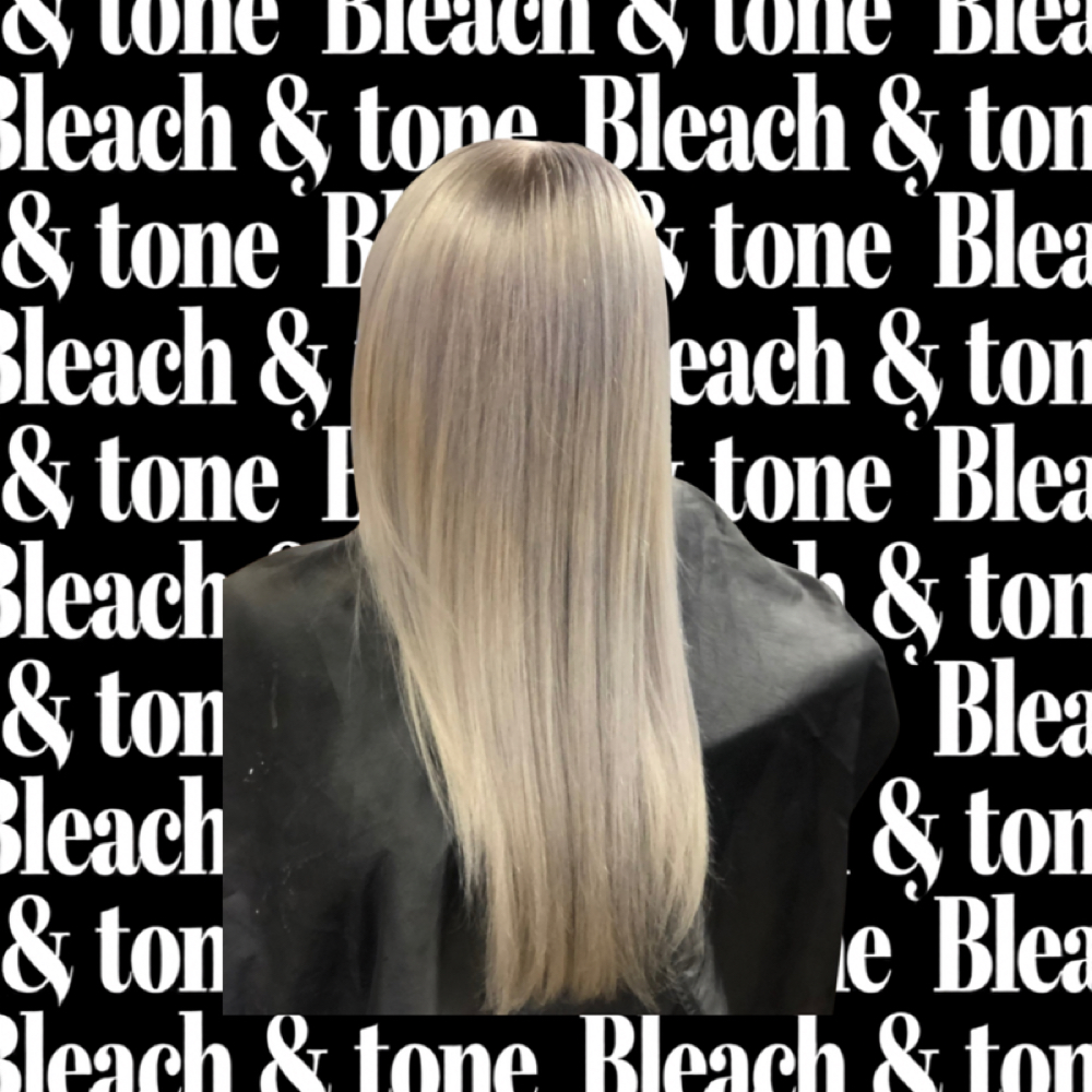 Bleach + Tone Root Touch-Up at The Mane Chair By Jenna Rae in Gainesville, FL