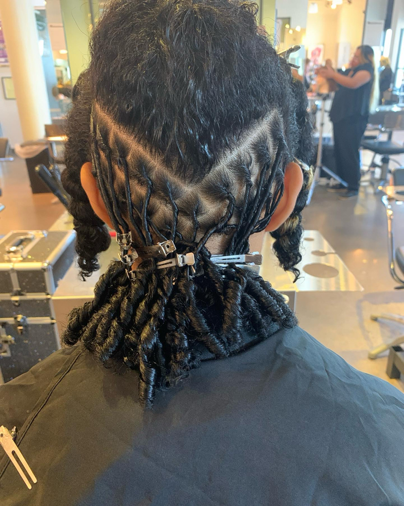 Starter Locs