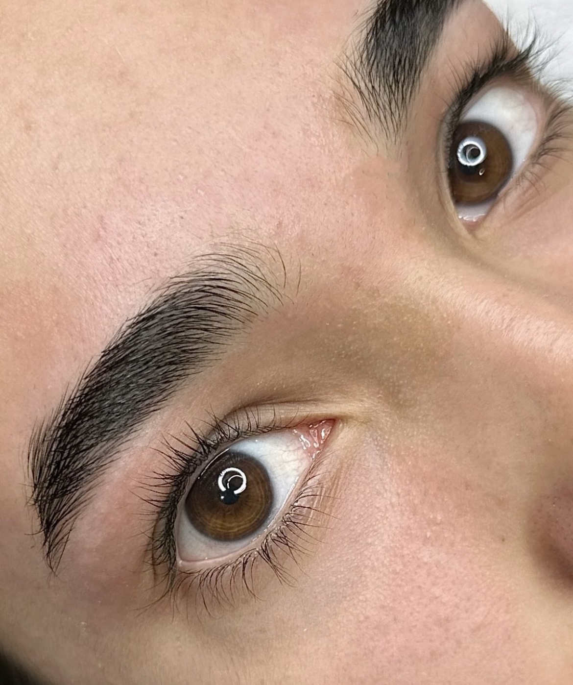 Eyebrow Tidy Maintenance