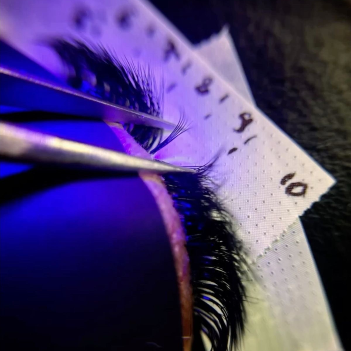 UV Lash Extensions Model Full Set at 317 Lash Studio in Cicero, IN
