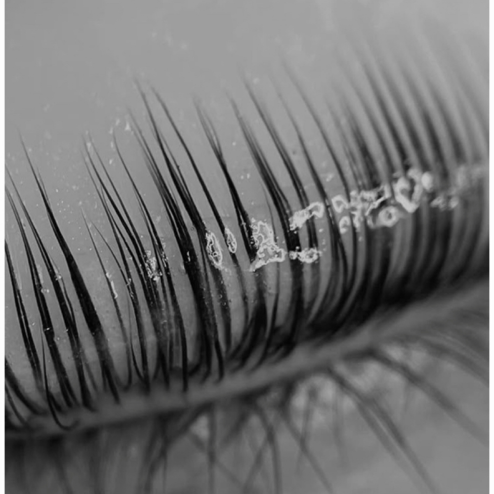 Korean Lash Lift & Tint at Réve Studio in Charlotte, NC