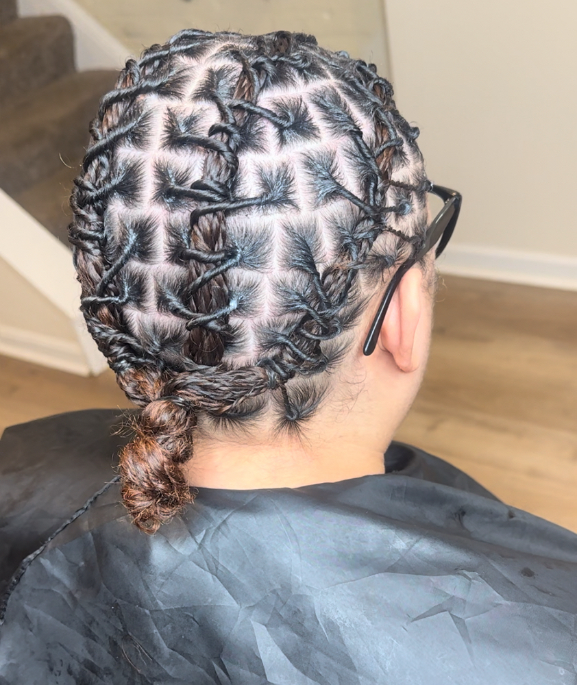 Starter locs (50-80)