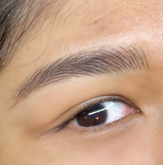 Nano Brows(machine Hair Strokes