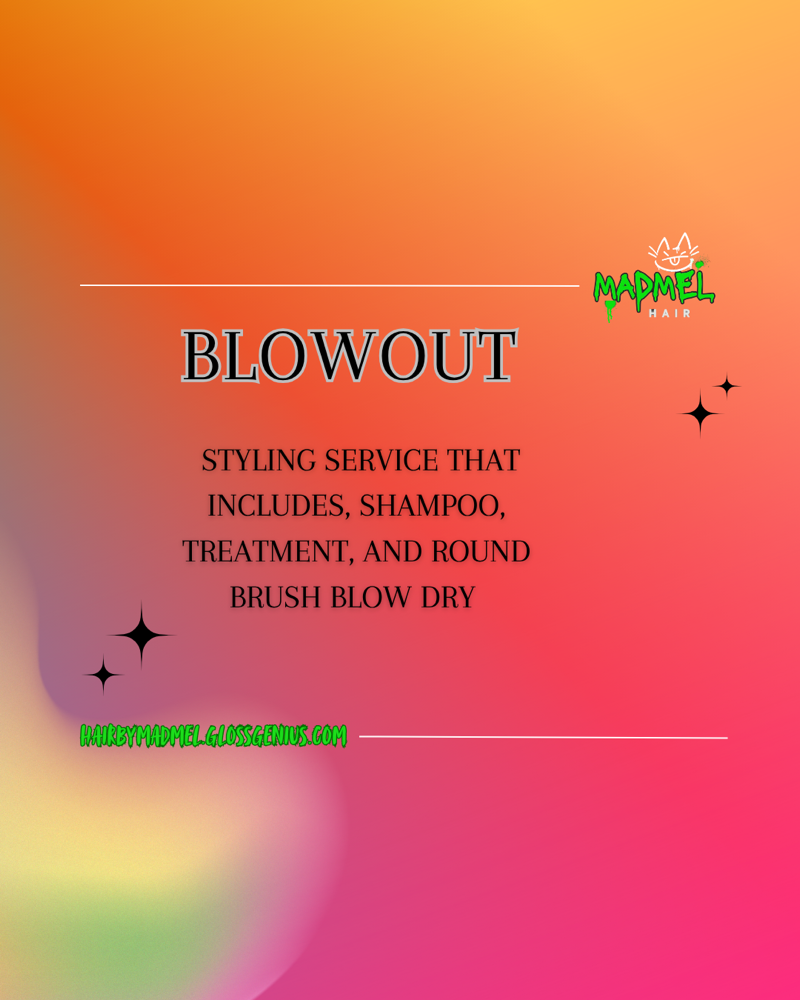 Blow Out at Mad Mel Hair in Geneva, OH