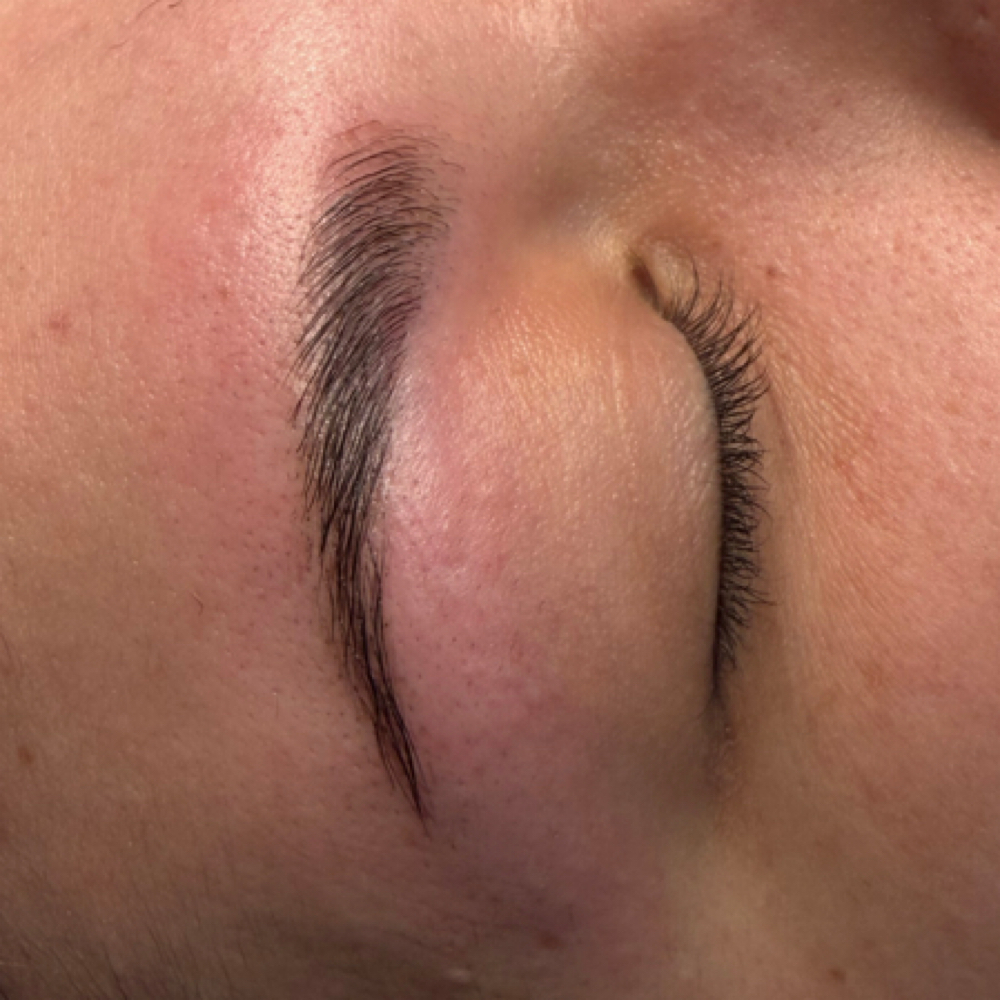 Brow lamination and tint at Luna & Sol Wax studio in Hastings, MN