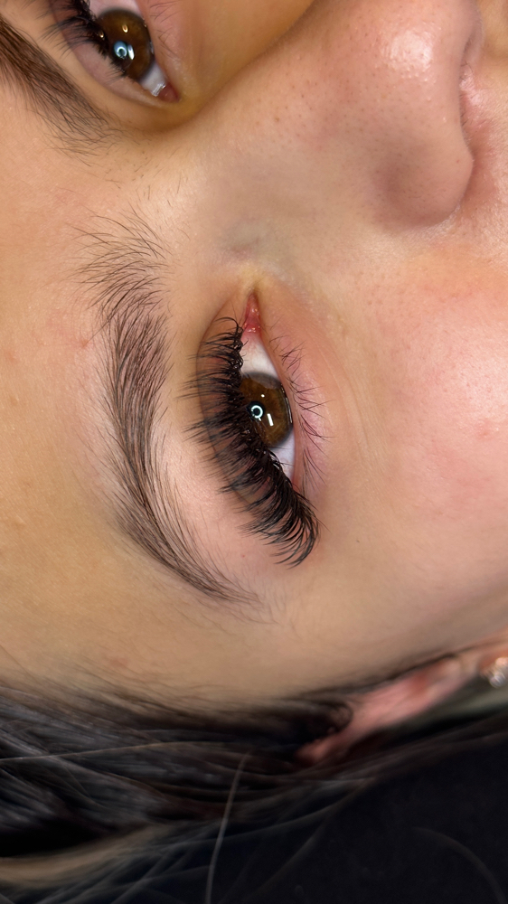 Volume| Hybrid Lashes
