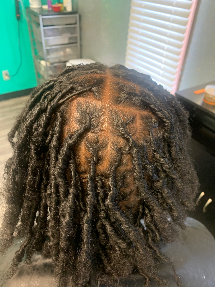Starter Locs