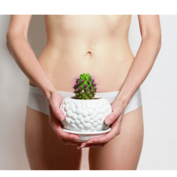 Brazilian Wax at LMK ESTHETICS SKINCARE SPA in Lake Ozark, MO