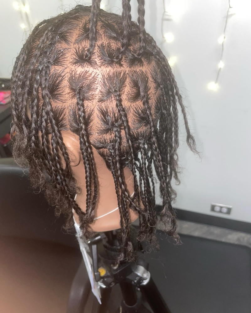 Braids (Natural)