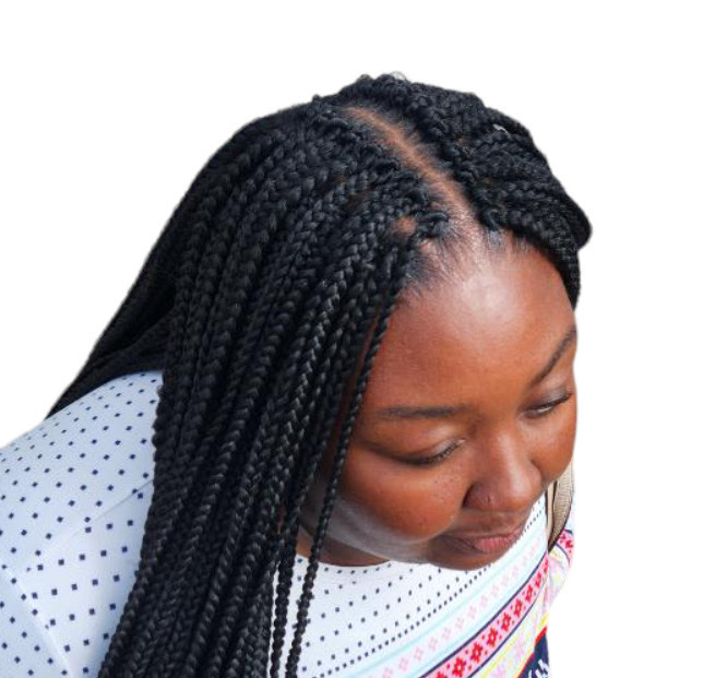 Crochet Braids Locs Twists