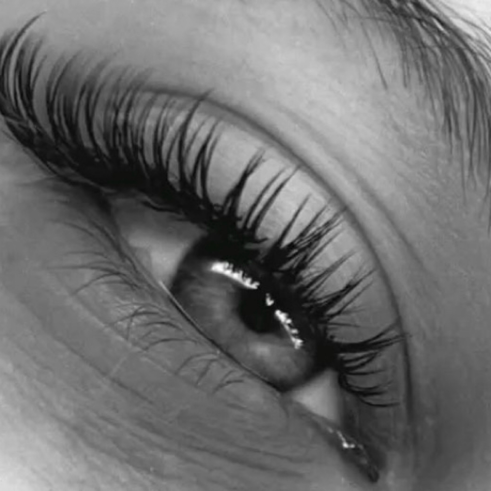 Korean Lash Lift & Tint at HOUSE OF BEAUTY UTAH in St George, UT