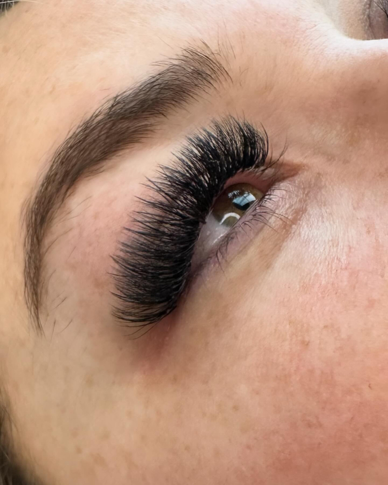 Volume Lashes