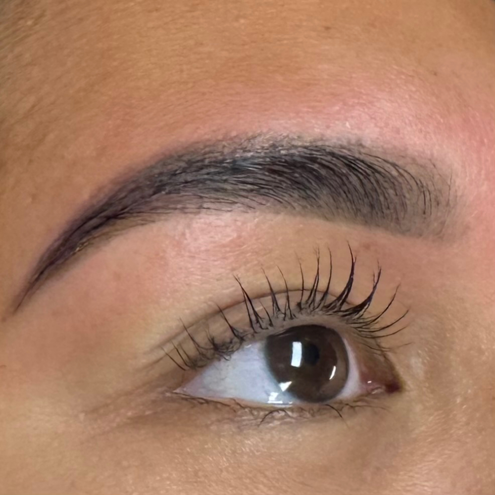 Brow Shaping & Hybrid Tint (stain) at Stingers Tattoo and More in Boise, ID