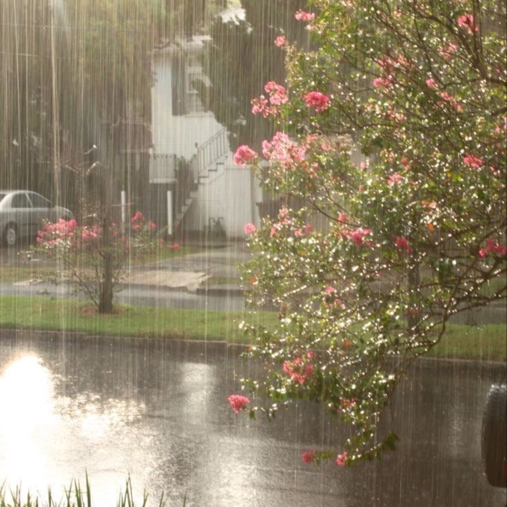 April Showers Facial at Esthetics by KP in Des Peres, MO