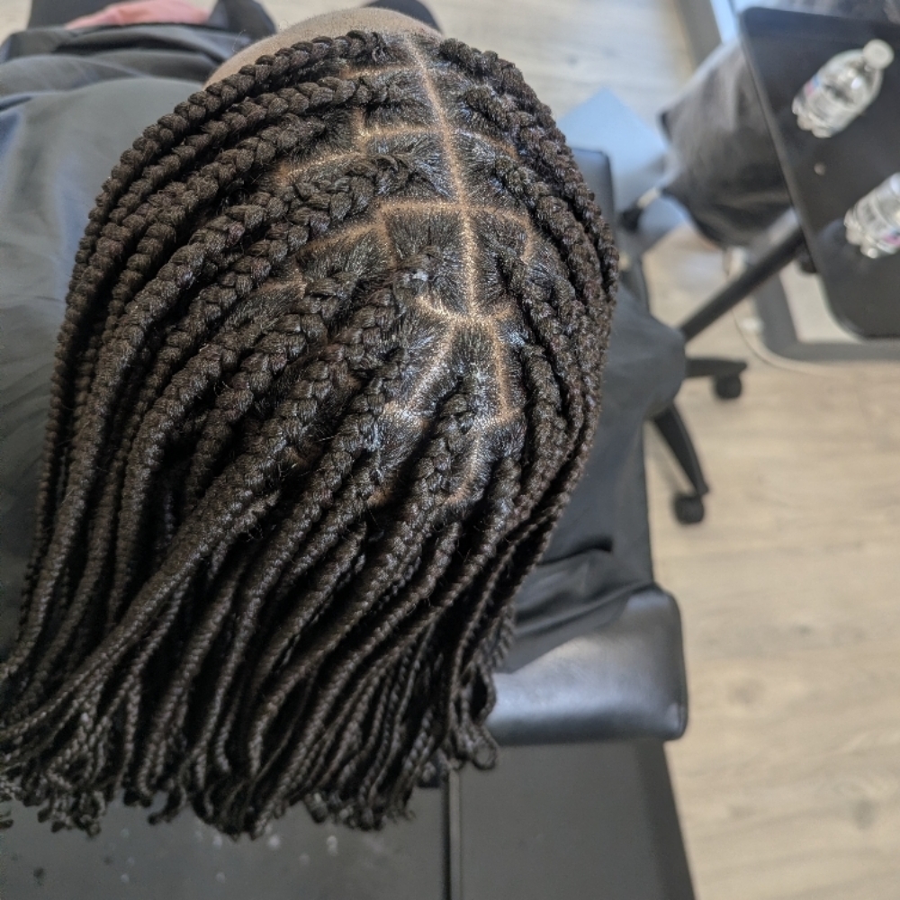 Med Box Braids (Mid-low Back) at Bestlady Fashions in Hoover, AL