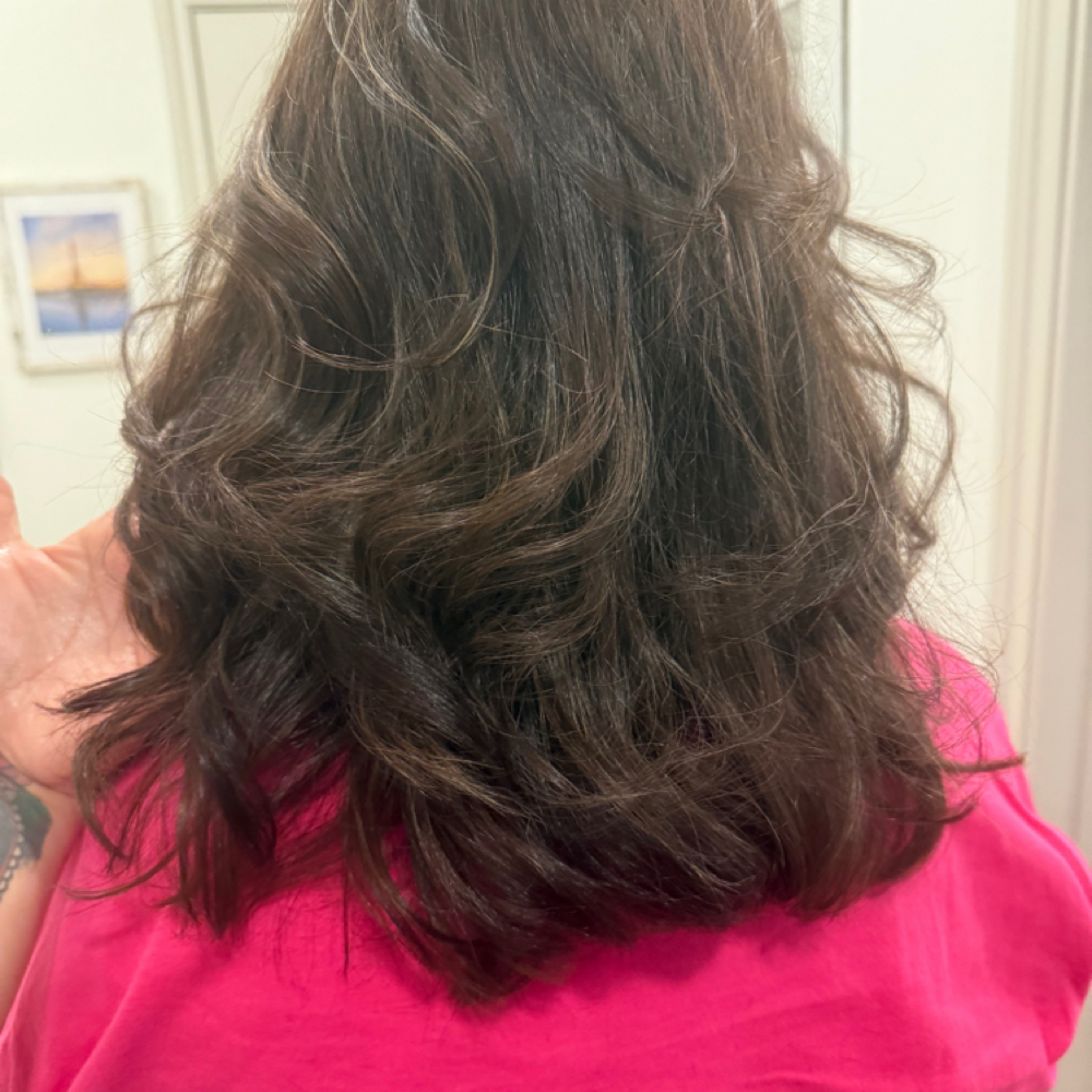 Signature Brunette Refresh at Mo Blades in Willis, TX