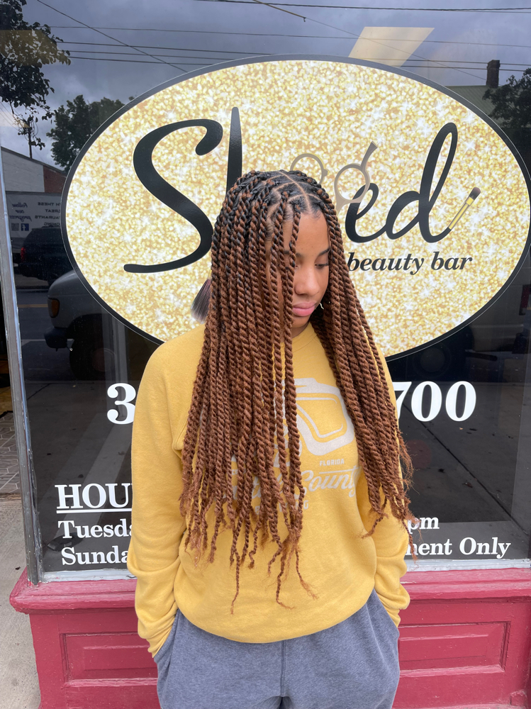 Marley Twists/ Passion Twists
