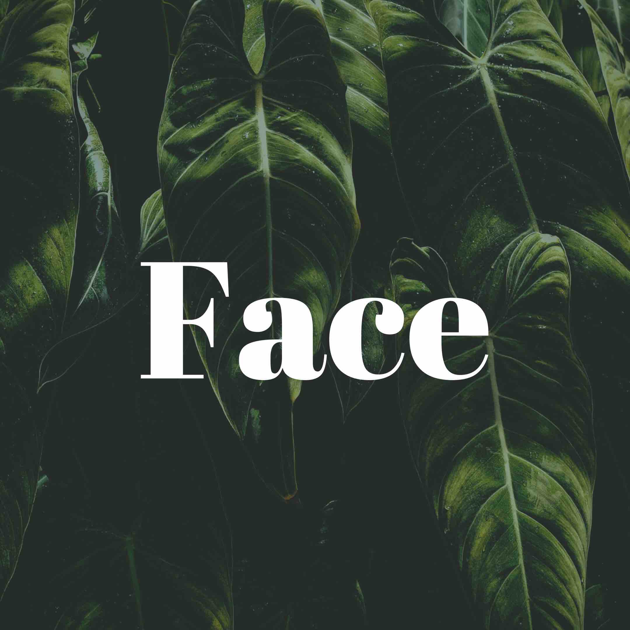 Full Face (womens)