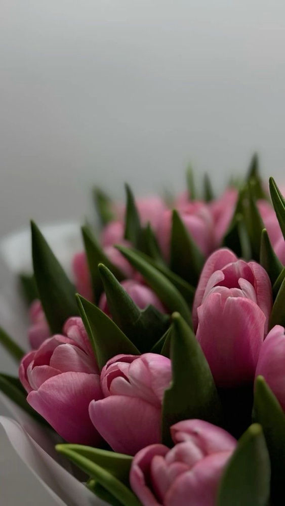 Spring Clean Facial š·āļø