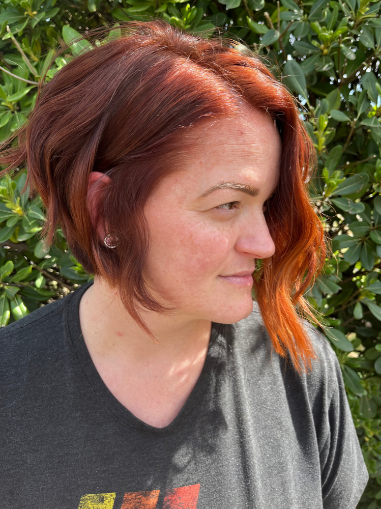 Touch-up + Blow Dry + cut