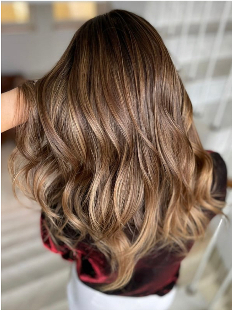 Full Custom Highlights/Balayage