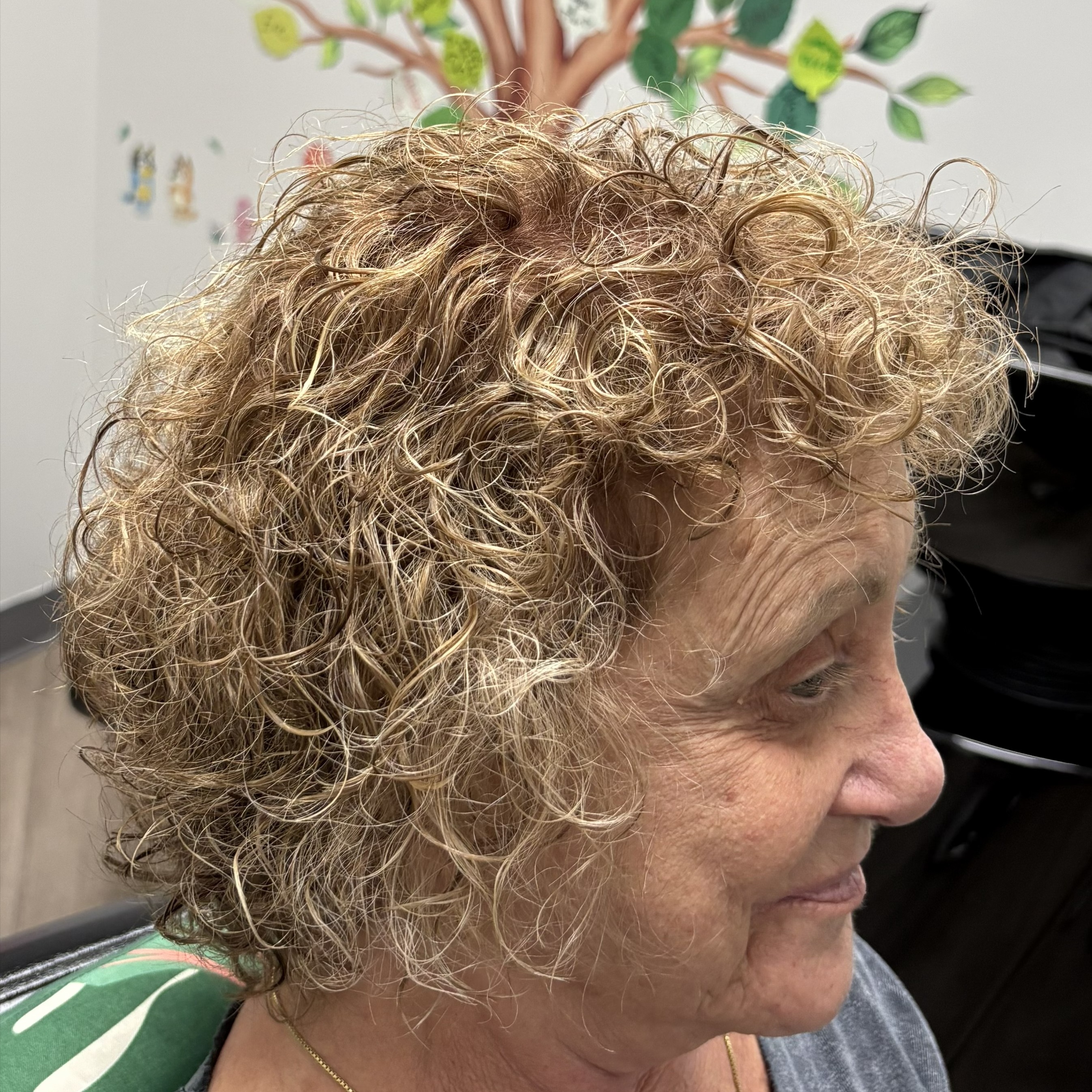 Senior Women's Cut's & Combo's at Chuck’s Place Cuts in Surprise, AZ
