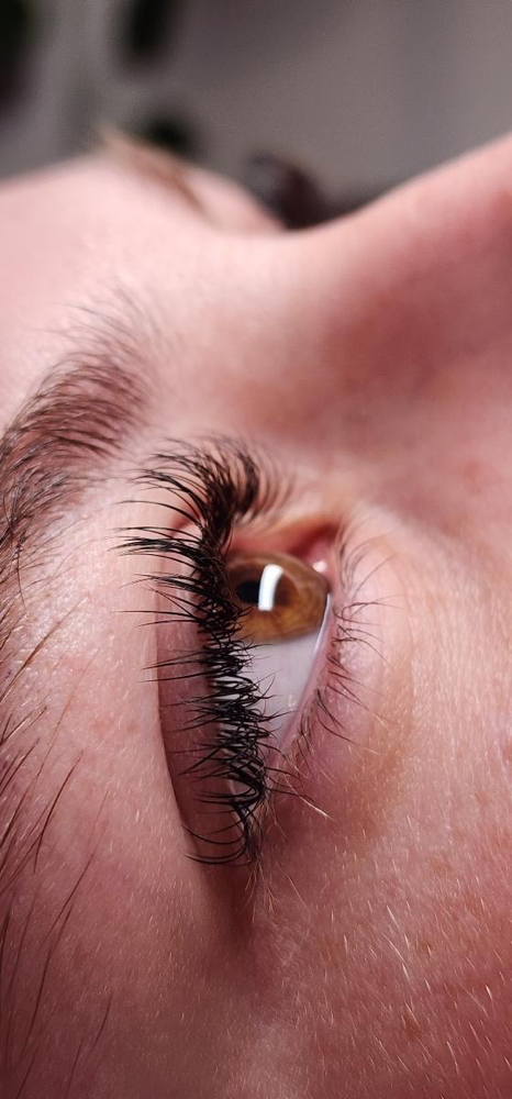 Classic Lashes