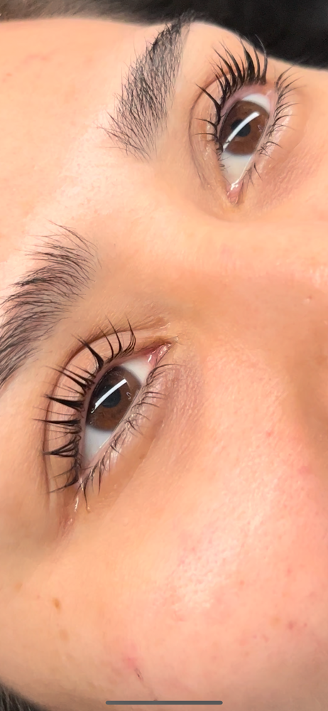 Lash Lift W/ Tint