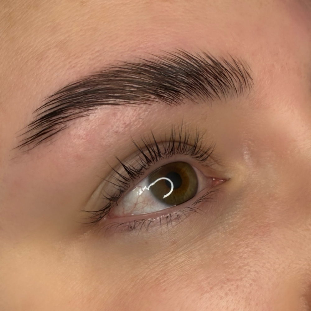 Brows + Lashes Bundle at Esthetics By Alexandra Jensen in Yakima, WA