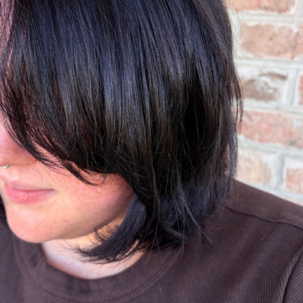 Dry haircut at Colors by Carly in Tuscumbia, AL