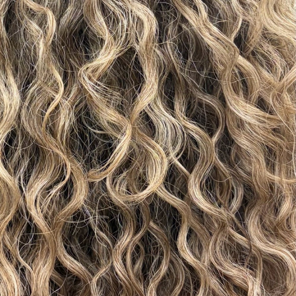 Full Highlight at Jae Curl Studio in Sarasota, FL