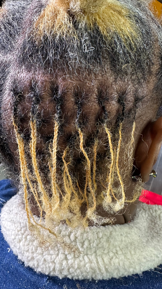 Braidlock Establishment