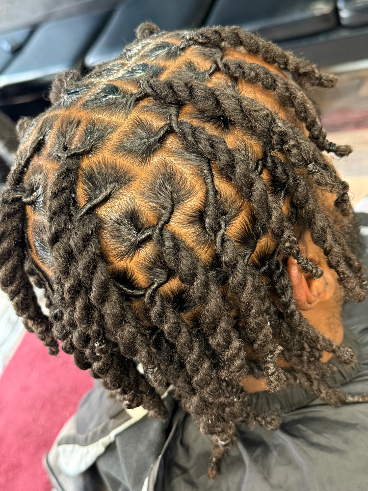 Starter Locs