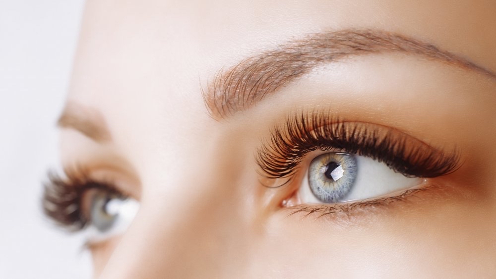 Lash Tint/ Eyebrow Tint