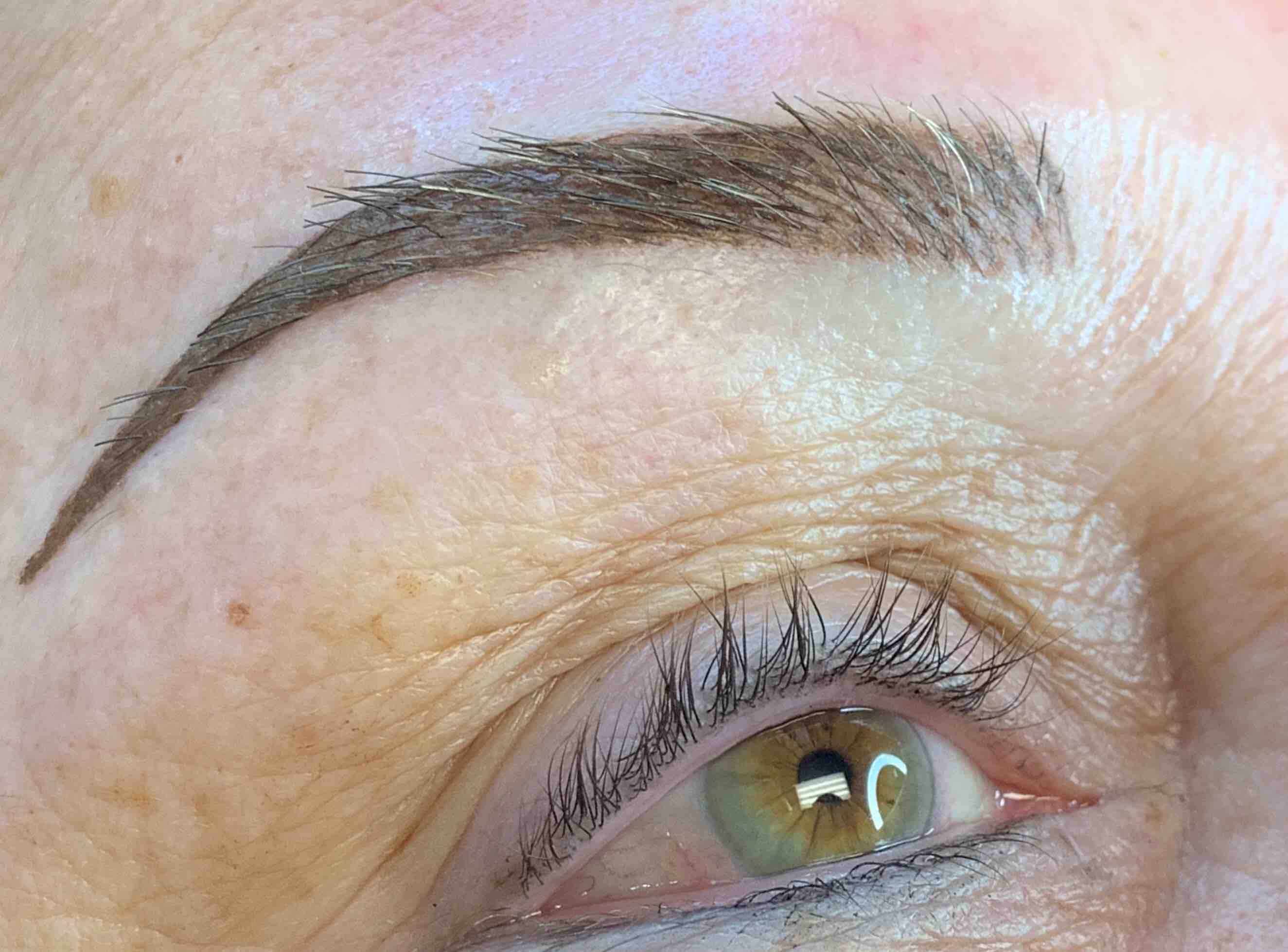 New Client- Powder Eye Brows