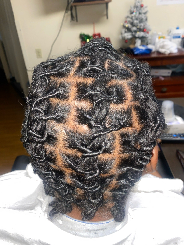 Starter Locs