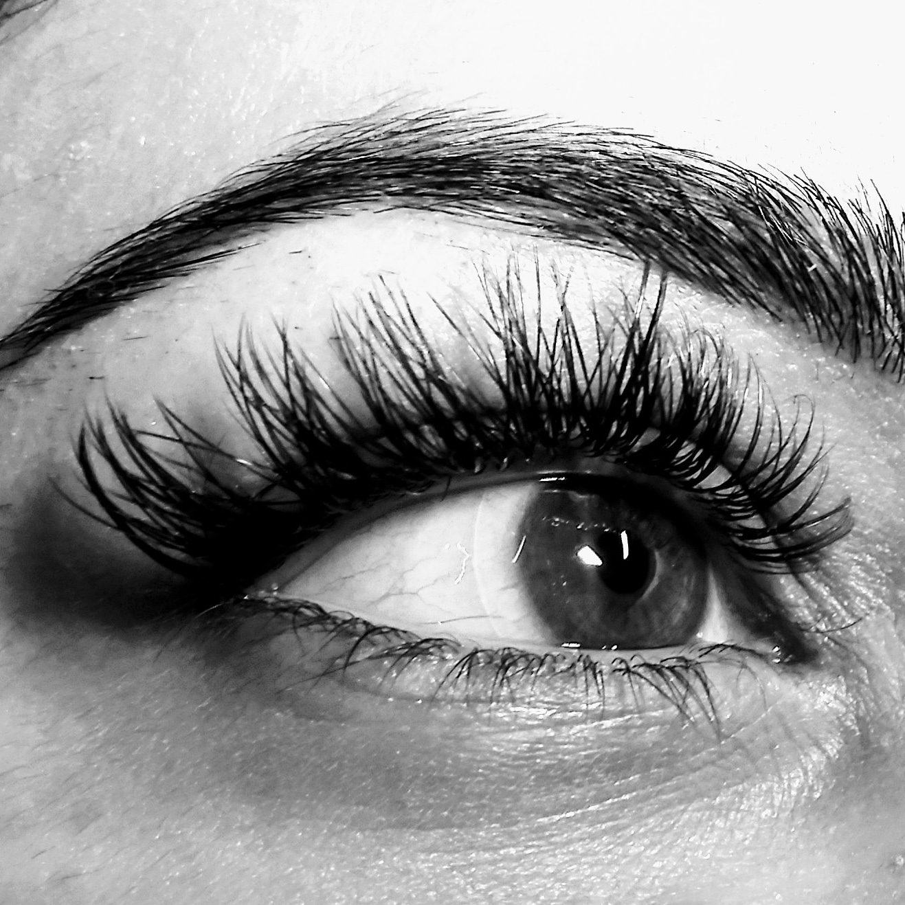 Lash Extensions Classic Fill