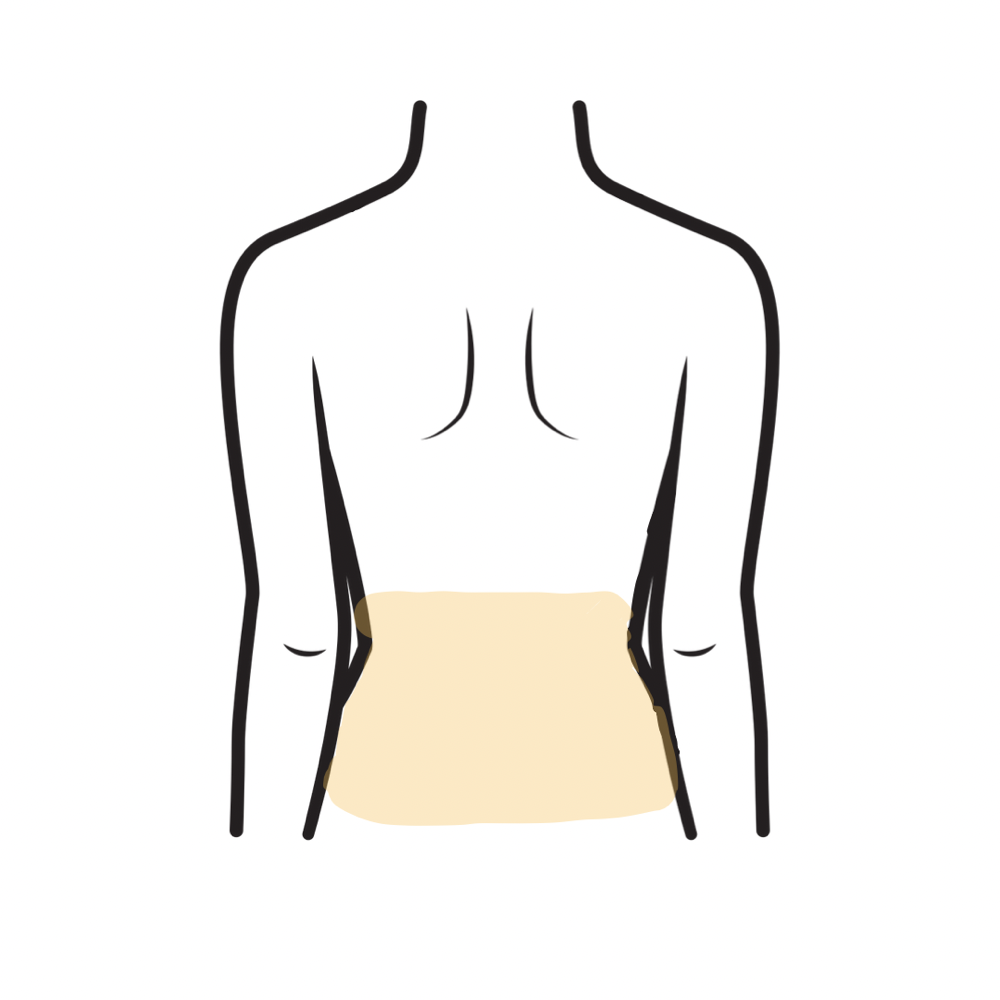 Lower Back