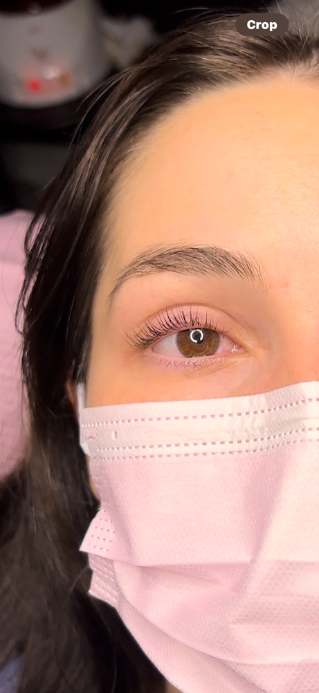 Natural Lash Lift And Tint