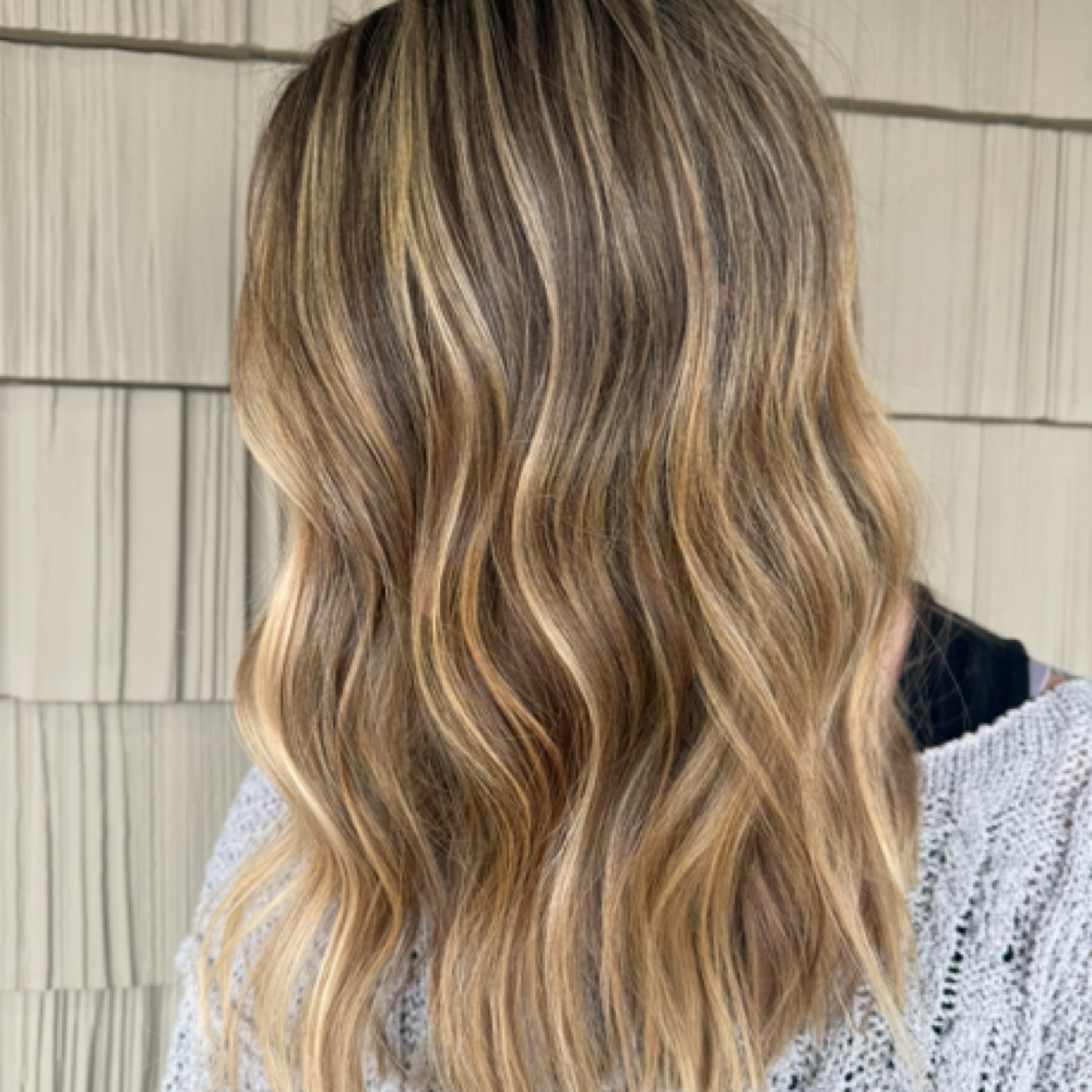 Partial Highlight at Daniela Springer in Portage, MI