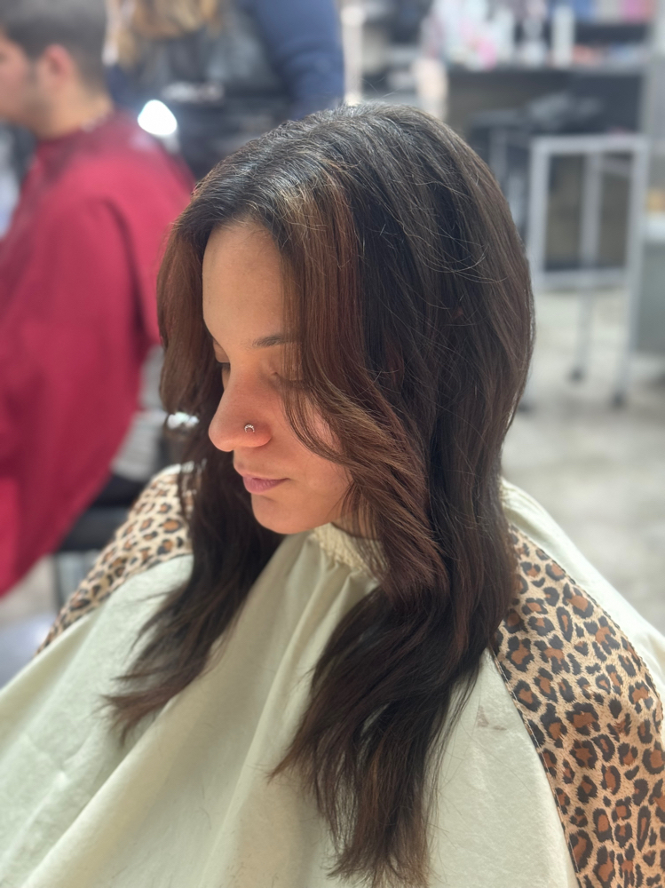 Womens Shampoo, Cut, and Style