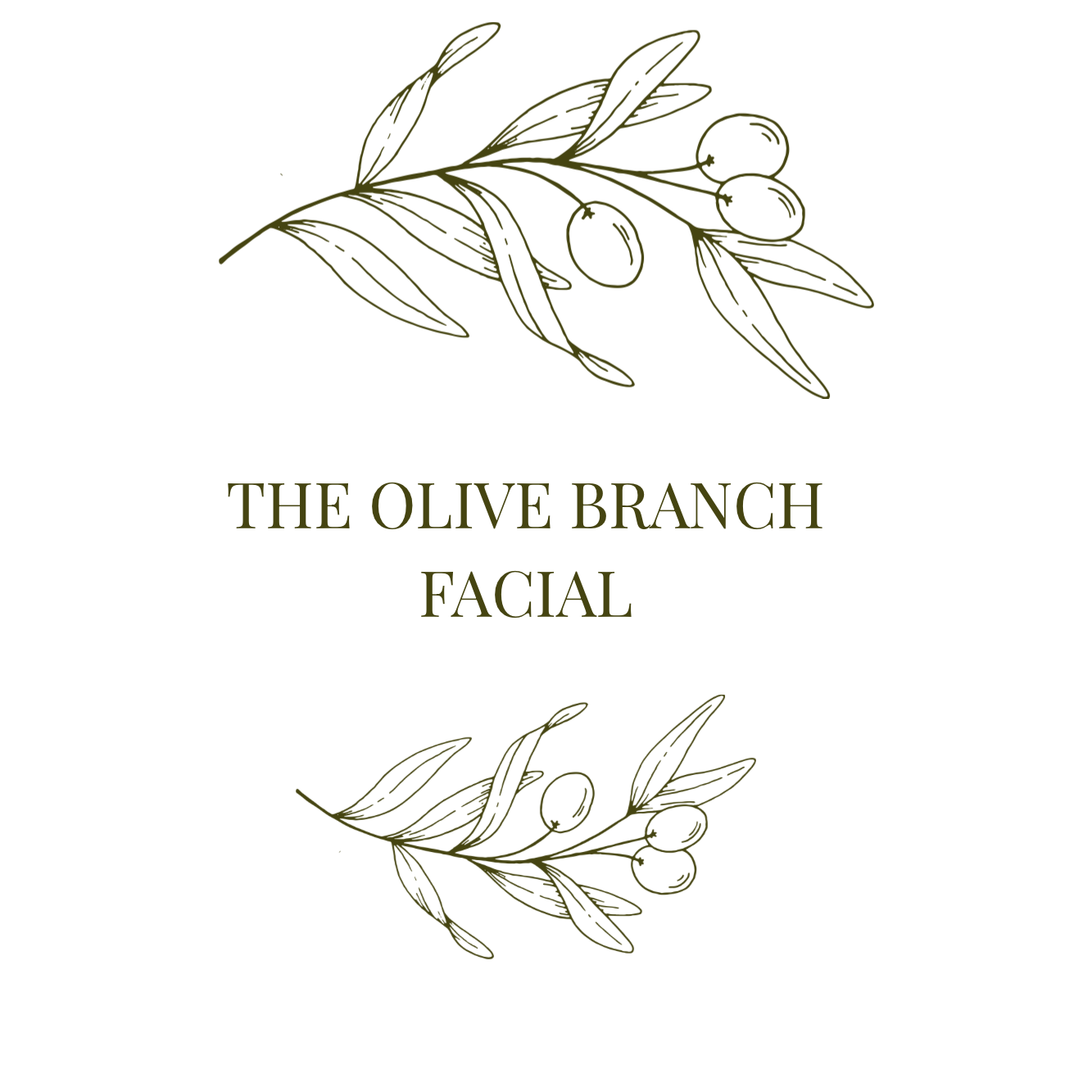 The Olive Branch Facial at Olive Branch Skin Co in Cincinnati, OH